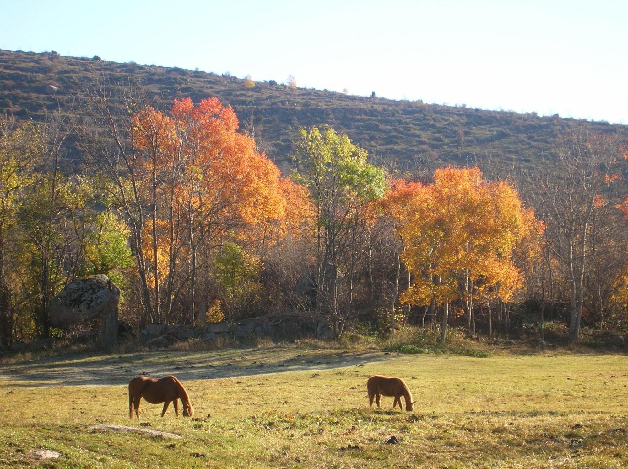 Bed and Breakfast El Balco De Dorres Екстер'єр фото